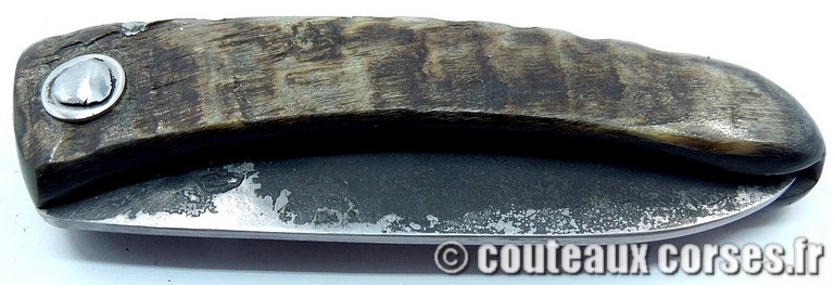 couteau corse curnicciolu Padovani u3 couteau-corse-curnicciolu-padovani-GBNRT54891