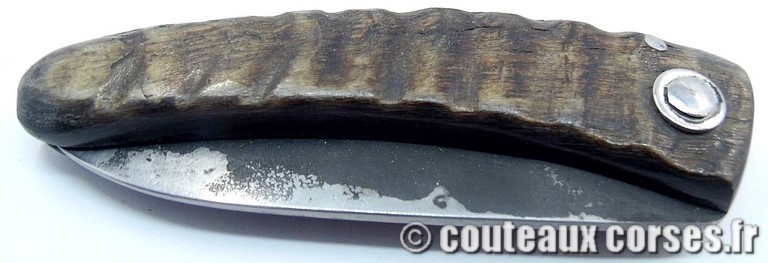 couteau corse curnicciolu Padovani u3 couteau-corse-curnicciolu-padovani-GBNRT54848