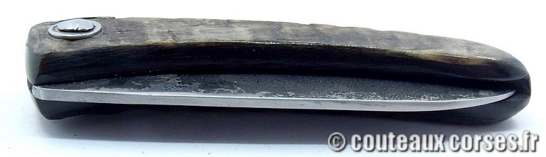 couteau corse curnicciolu Padovani u3 couteau-corse-curnicciolu-padovani-GBNRT5484