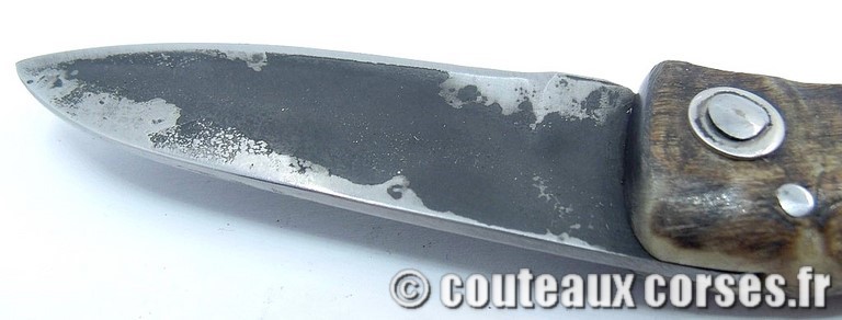 couteau corse curnicciolu Padovani u7 couteau-corse-curnicciolu-padovani-GBNRT54848