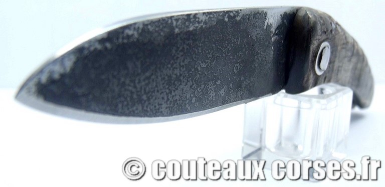 couteau corse curnicciolu Padovani u1 couteau-corse-curnicciolu-padovani-GBNRT548-1
