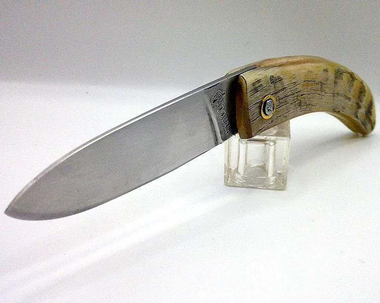 Couteau corse Curnichjiolu Manu Padovani fermé, manche en corne de bélier blonde, côté droit. padovani-curnichjiolu-xc75-belier-blond-ferme-droit.webp