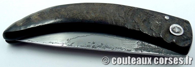 curnicciolu-damas-et-corne-de-bouc-85GH97-padovani-12
