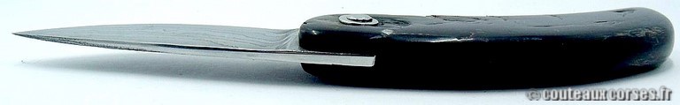 curnicciolu-damas-et-corne-de-chevre-padovani-1-5-4