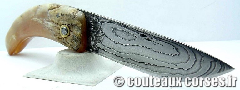 curnicciolu-damas-et-corne-de-belier-padovani-c-1-5-8