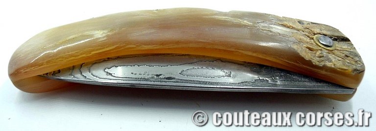 curnicciolu-damas-et-corne-de-belier-padovani-c-2