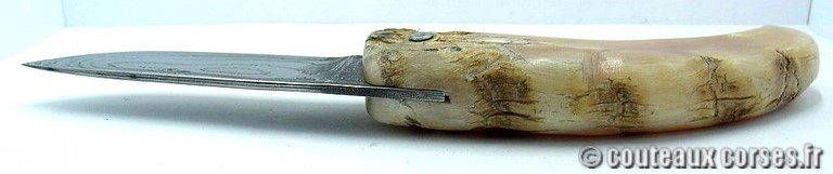 curnicciolu-damas-et-corne-de-belier-padovani-c-1-5-4