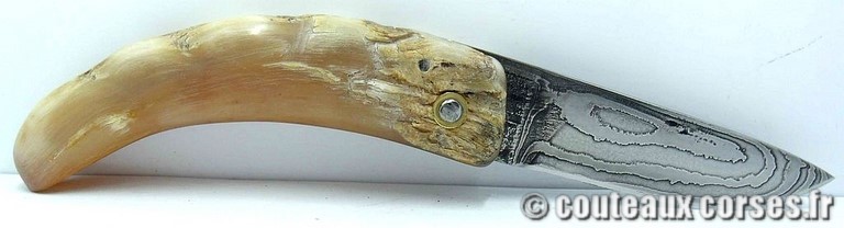 curnicciolu-damas-et-corne-de-belier-padovani-c-1-5-1