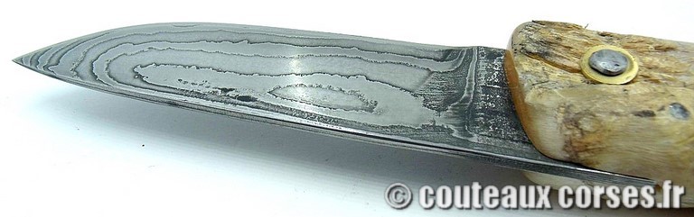 curnicciolu-damas-et-corne-de-belier-padovani-c-89