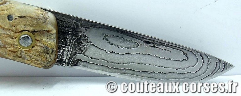 curnicciolu-damas-et-corne-de-belier-padovani-c-1-5-8