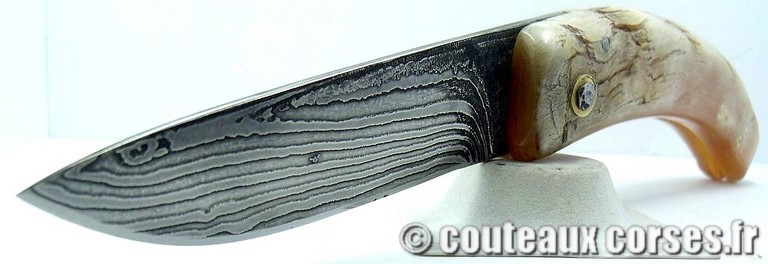 curnicciolu-damas-et-corne-de-belier-padovani-c-1-5-3