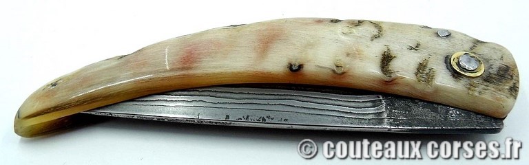 curnicciolu-damas-et-corne-de-belier-ks-03-padovani-2