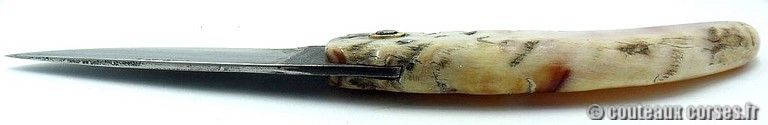 curnicciolu-damas-et-corne-de-belier-ks-03-padovani-4