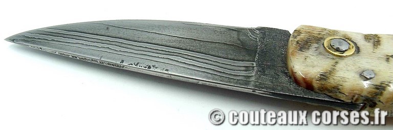 curnicciolu-damas-et-corne-de-belier-ks-03-padovani-89