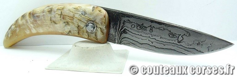 curnicciolu-damas-et-corne-de-belier-ks-04-padovani-am1-8