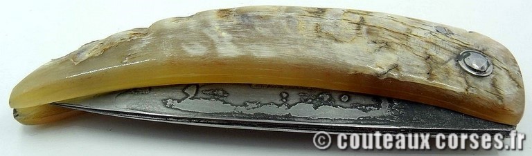 curnicciolu-damas-et-corne-de-belier-ks-04-padovani-am1-2