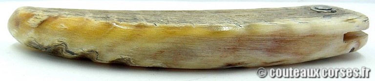 curnicciolu-damas-et-corne-de-belier-ks-04-padovani-am1-3