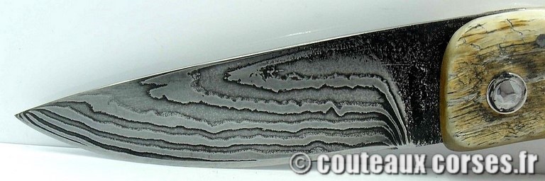 couteau corse curnicciolu damas et corne de belier curnicciolu-damas-et-corne-de-belier-ks-04-padovani-am1-1