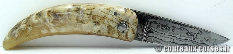 curnicciolu-damas-et-corne-de-belier-ks-04-padovani-am1-8