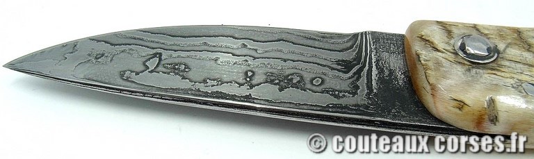 curnicciolu-damas-et-corne-de-belier-ks-04-padovani-am1-89