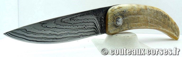 curnicciolu-damas-et-corne-de-belier-ks-04-padovani-am1-3