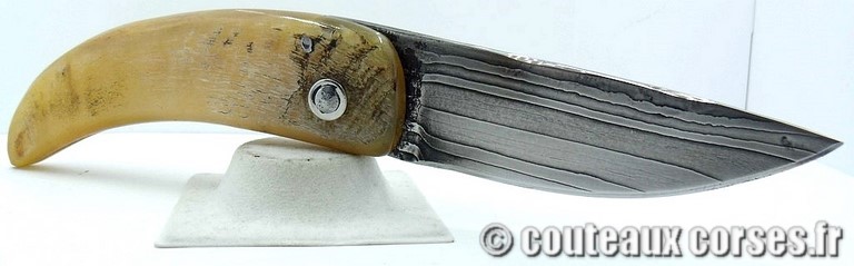 curnicciolu-damas-et-corne-de-belier-padovani-ao1-8