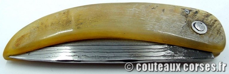 curnicciolu-damas-et-corne-de-belier-padovani-ao1-2
