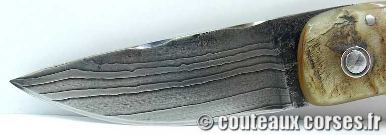 couteau corse curnicciolu damas et corne de belier curnicciolu-damas-et-corne-de-belier-padovani-ao1-8
