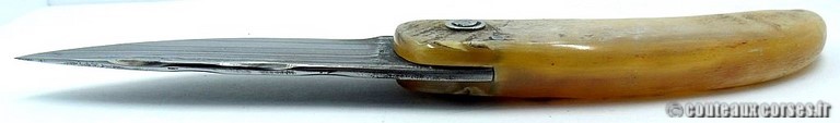 curnicciolu-damas-et-corne-de-belier-padovani-ao1-4