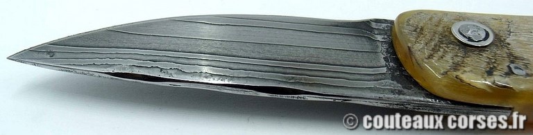 curnicciolu-damas-et-corne-de-belier-padovani-ao1-89