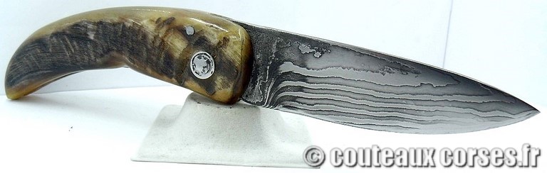 curnicciolu-damas-et-corne-de-belier-padovani-ap1-8