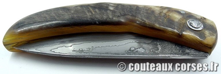 curnicciolu-damas-et-corne-de-belier-padovani-ap1-2