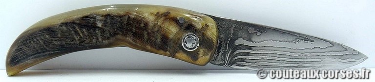 curnicciolu-damas-et-corne-de-belier-padovani-ap1-5-1