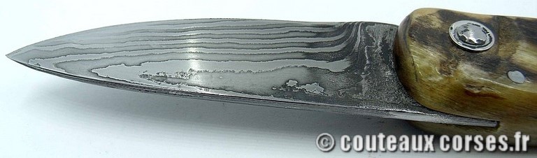 curnicciolu-damas-et-corne-de-belier-padovani-ap1-89