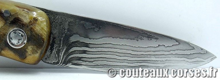 curnicciolu-damas-et-corne-de-belier-padovani-ap1-1-5-8