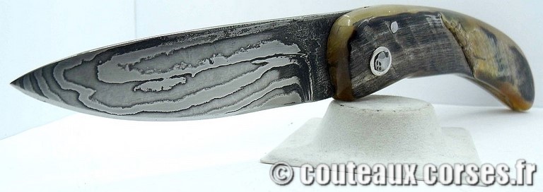 curnicciolu-damas-et-corne-de-belier-padovani-ap1-5-3