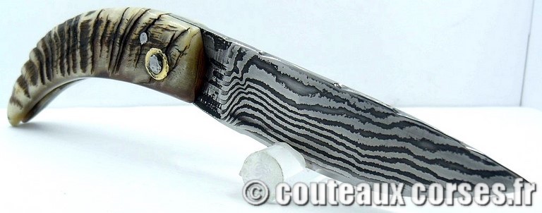 curnicciolu-damas-et-corne-de-belier-padovani-658H-1-1-1-8