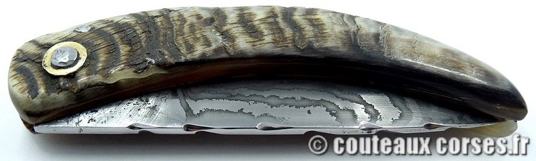 couteau corse curnicciolu damas et corne de belier curnicciolu-damas-et-corne-de-belier-padovani-curnicciolu-damas-et-corne-de-belier-padovani-658H-65