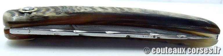 curnicciolu-damas-et-corne-de-belier-padovani-658H-1-1-3