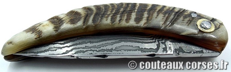 curnicciolu-damas-et-corne-de-belier-padovani-658H-2