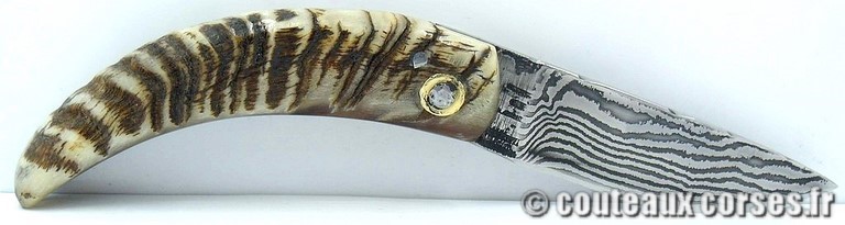 couteau corse curnicciolu damas et corne de bouc curnicciolu-damas-et-corne-de-belier-padovani-658H--8-198