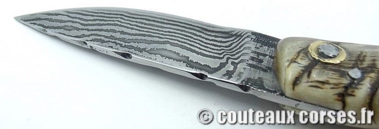 curnicciolu-damas-et-corne-de-belier-padovani-658H-89