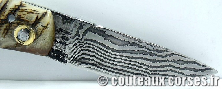 curnicciolu-damas-et-corne-de-belier-padovani-658H-8-195