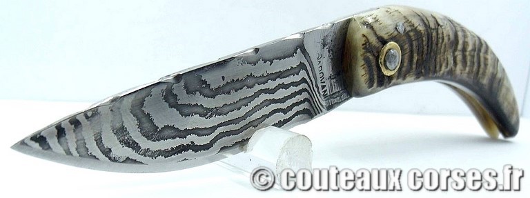 curnicciolu-damas-et-corne-de-belier-padovani-658H-15-3