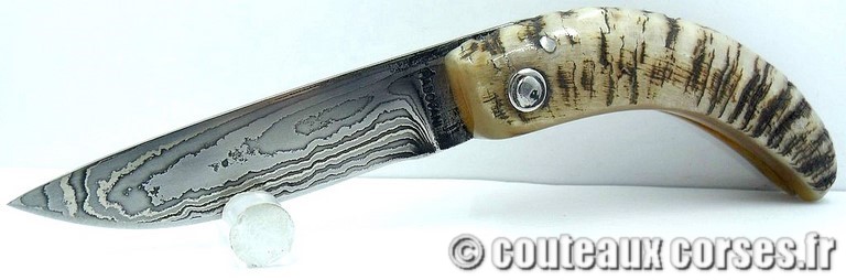 Curnicciolu corne de belier et damas M Padovani curnicciolu-damas-et-corne-de-belier-M-Padovani-IK45