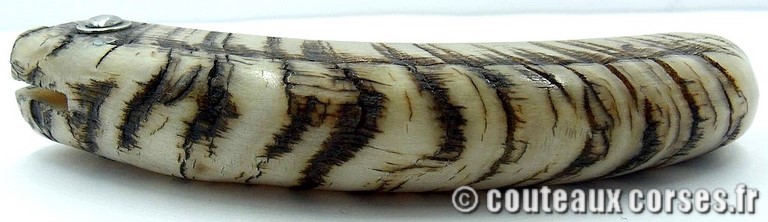 curnicciolu-damas-et-corne-de-belier-M-Padovani-115T-3