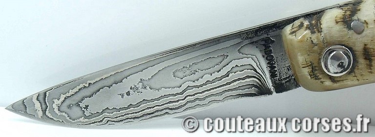 couteau corse curnicciolu damas et corne de belier curnicciolu-damas-et-corne-de-belier-M-Padovani-115T-8