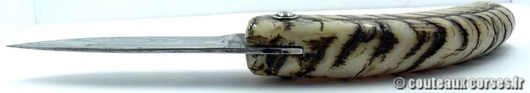 curnicciolu-damas-et-corne-de-belier-M-Padovani-115T-4