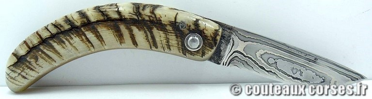 curnicciolu-damas-et-corne-de-belier-M-Padovani-115T-5-1