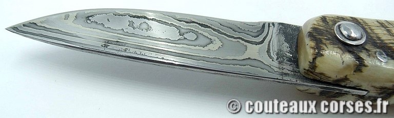 curnicciolu-damas-et-corne-de-belier-M-Padovani-115T-89